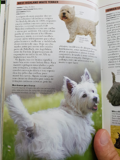 Cãopanheiro Clínica Veterinária em Sorocaba - SP
