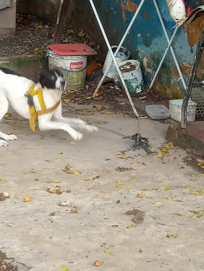 Casa São Francisco - Veterinário em Maceió - AL