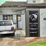 Imagem ilustrativa da empresa CAT & DOG - Veterinário em Campo Grande - MS