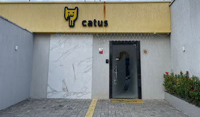 Catus - Exclusiva para gatos - 24h - Veterinário em Fortaleza - CE