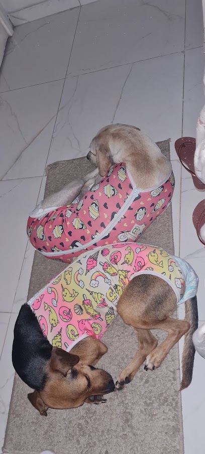 CEA - Centro de Esterilização Animal - Veterinário em Recife - PE