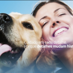 Imagem ilustrativa da empresa CEIV 24h • Centro Veterinário de Especialidades e Internação em Goiânia - GO