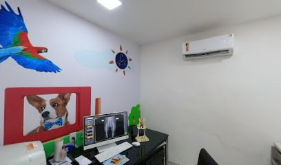Cemeve Pet - Veterinário em Recife - PE