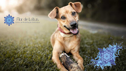 Centro de Reabilitação Veterinária Flor de Lótus - unidade Guarulhos em Guarulhos - SP