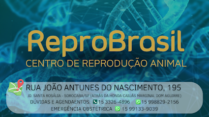 Centro de Reprodução Animal ReproBrasil - Veterinário em Sorocaba - SP