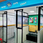 Imagem ilustrativa da empresa Centro Médico Veterinário Campinas em Campinas - SP