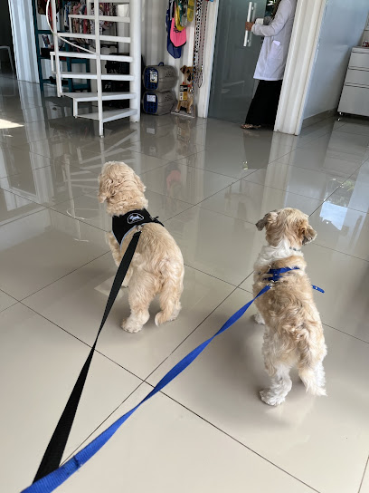 Centro medico Veterinário de curitiba - CMV em Curitiba - PR