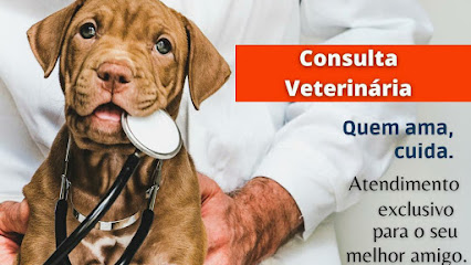 Imagem ilustrativa da empresa Centro Veterinário MEDVET Guarulhos em Guarulhos - SP