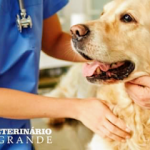 Imagem ilustrativa da empresa Centro Veterinário Ponte Grande em Guarulhos - SP