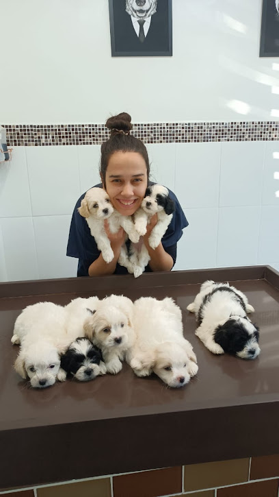 Centro Veterinário POPULAR Vila Teixeira em Campinas - SP