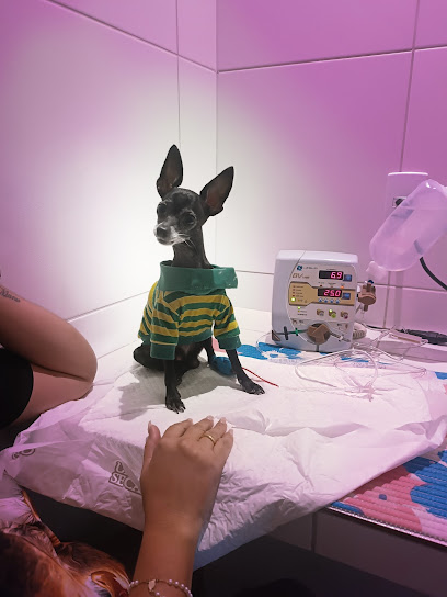 Centro Veterinário Sobre Patas em Recife - PE