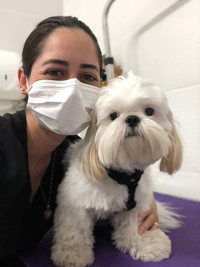 Centro Veterinário Speranza em Fortaleza - CE