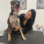Imagem ilustrativa da empresa Centro Veterinário Titonele em Guarulhos - SP