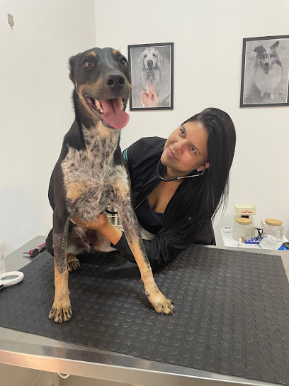 Centro Veterinário Titonele em Guarulhos - SP