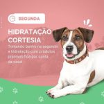Imagem ilustrativa da empresa Centro VetPet - Veterinário em Porto Alegre - RS