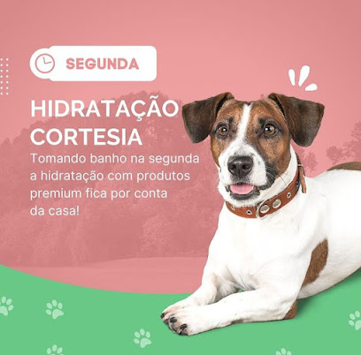 Imagem ilustrativa da empresa Centro VetPet - Veterinário em Porto Alegre - RS