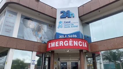Imagem ilustrativa da empresa CESAL - Clínica Veterinária 24 horas em Porto Alegre - RS