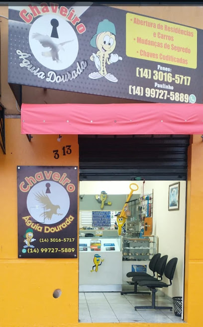 Chaveiro Águia dourada em Bauru - SP
