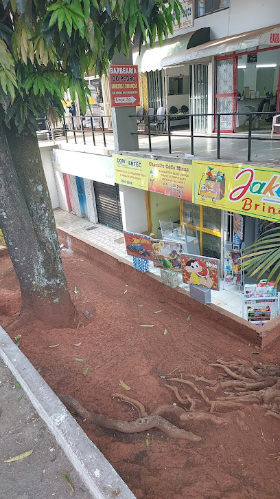 Chaveiro Célio Minas em Brasília - DF