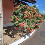 Imagem ilustrativa da empresa CHAVEIRO RESIDENCIAL LUIZINHO em Franca - SP