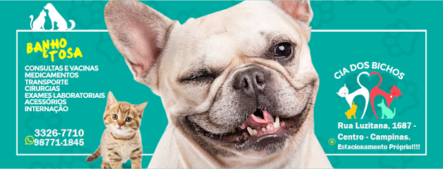 Cia dos Bichos Clínica Veterinária e PetShop em Campinas - SP