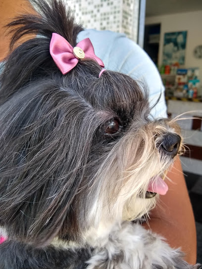 Clican Veterinária em Salvador - BA