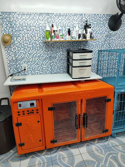 Clínica AMIGO FIEL, EXAMES, VACINAS, CIRURGIAS EM GERAL - Veterinário em Guarulhos - SP