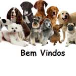 Imagem ilustrativa da empresa Clínica Castelo Veterinária e Banho & Tosa em Ribeirão Preto - SP
