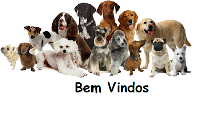 Clínica Castelo Veterinária e Banho & Tosa em Ribeirão Preto - SP