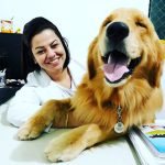 Imagem ilustrativa da empresa Clínica de Especialidades Veterinárias Bem Cuidar em Belo Horizonte - MG