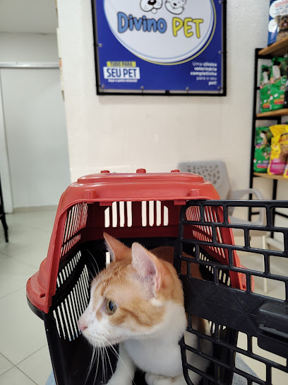CLÍNICA DIVINO PET - Veterinário em Maceió - AL