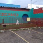 Imagem ilustrativa da empresa Clínica Dog Mania & Cia - Veterinário em Maceió - AL