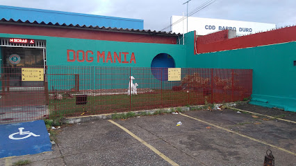 Clínica Dog Mania & Cia - Veterinário em Maceió - AL