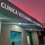 Imagem ilustrativa da empresa Clínica Médica Veterinária Apolo Norte Sul em Campo Grande - MS