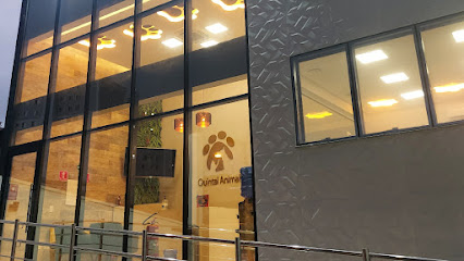 Clínica Quintal Animal - Veterinário em Guarulhos - SP