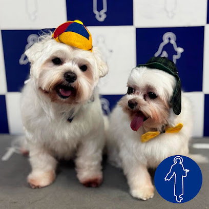 Clínica Vet. São Francisco de Assis - Veterinário em São Paulo - SP