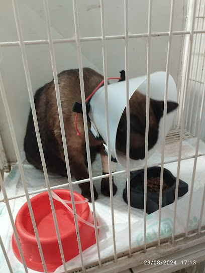 Clínica Vet. World Animalle - Veterinário em Goiânia - GO