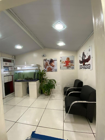 Clínica Veterinária 24 Horas Caoxonado - Hospital em Campinas - SP