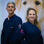 Imagem ilustrativa da empresa Clínica Veterinária 24h - Bicho de Estimação em Goiânia - GO