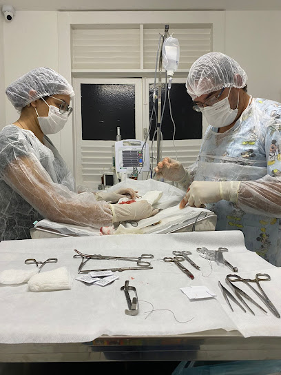 Clínica Veterinária 24h - Diagnovet Maceio em Maceió - AL