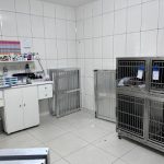 Imagem ilustrativa da empresa Clínica Veterinária 24hs - DOG UP em São Paulo - SP