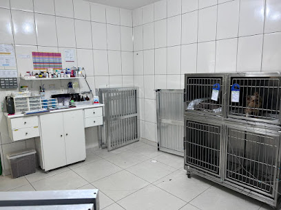 Clínica Veterinária 24hs - DOG UP em São Paulo - SP