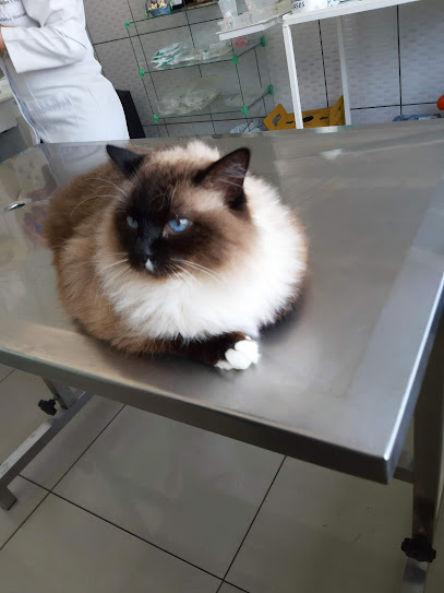 Clínica Veterinária Alexandra Pavanello em Campinas - SP