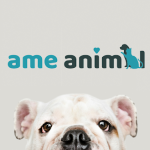 Imagem ilustrativa da empresa Clínica Veterinária Ame Animal em São Bernardo do Campo - SP
