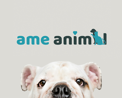 Imagem ilustrativa da empresa Clínica Veterinária Ame Animal em São Bernardo do Campo - SP