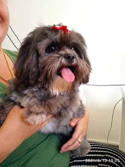 Clínica Veterinária Amor em Pet em Campo Grande - MS
