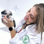 Imagem ilustrativa da empresa Clínica Veterinária Anima Pet em São Paulo - SP