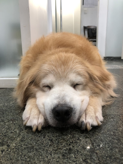 Clínica Veterinária Animal Life em Curitiba - PR
