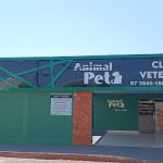 Imagem ilustrativa da empresa Clínica veterinária Animal Pet 24h - Vila Palmira em Campo Grande - MS