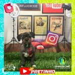 Imagem ilustrativa da empresa Clínica Veterinária Animalis Pet em Nova Iguaçu - RJ
